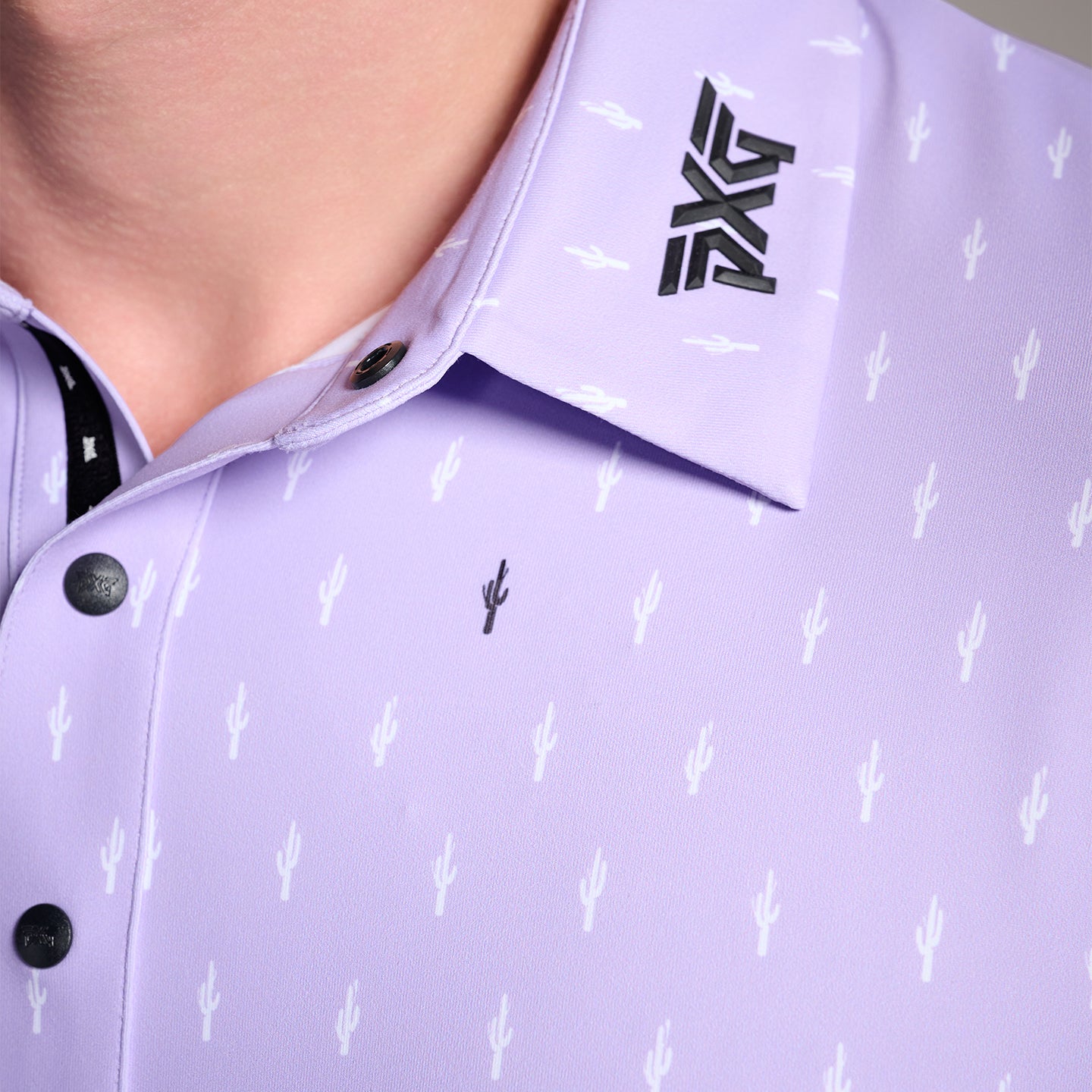 Lavender Tour Cactus Bundle