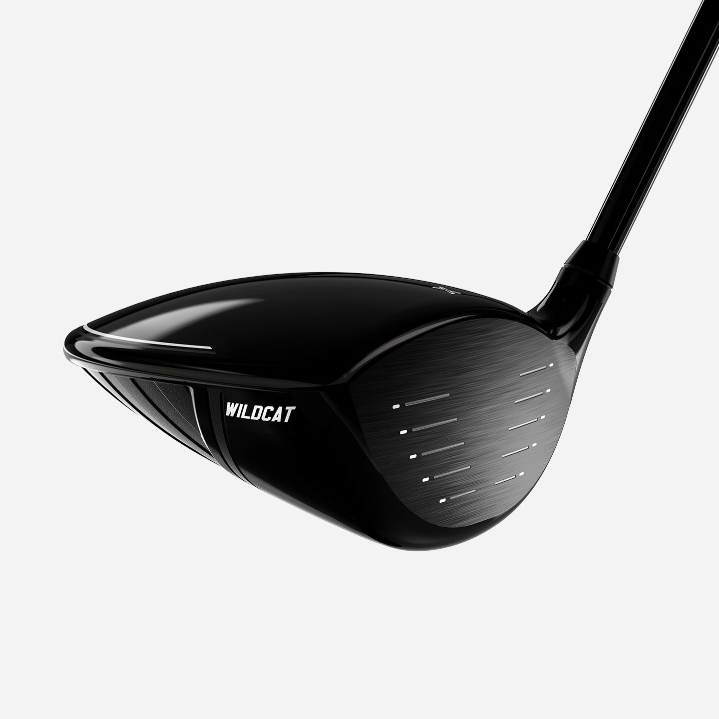 Wildcat Driver | Beginner Golf Clubs | PXG